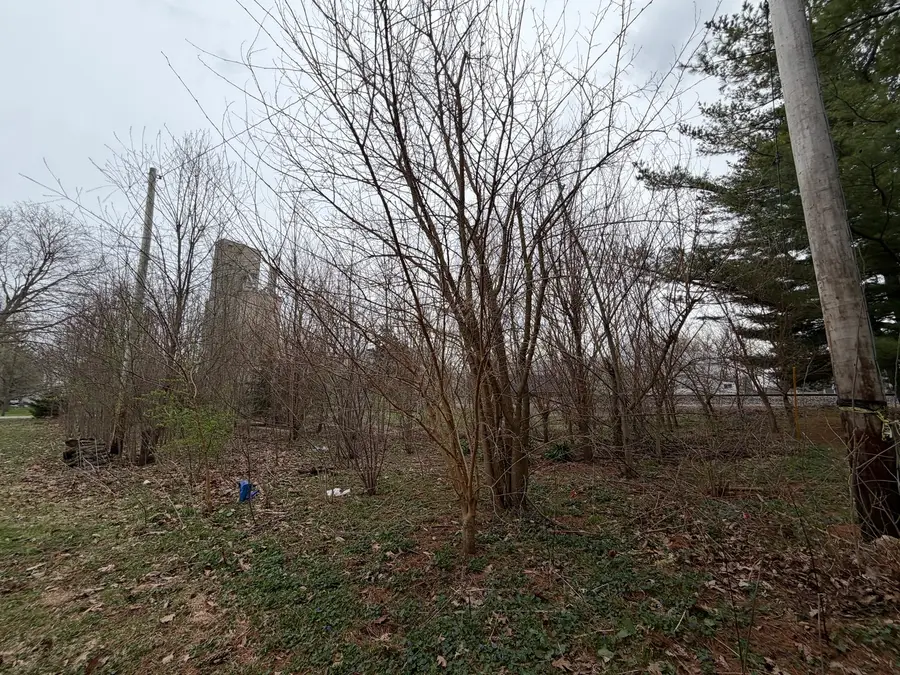 112 S Church Street, Homer, IL 61849 - #3