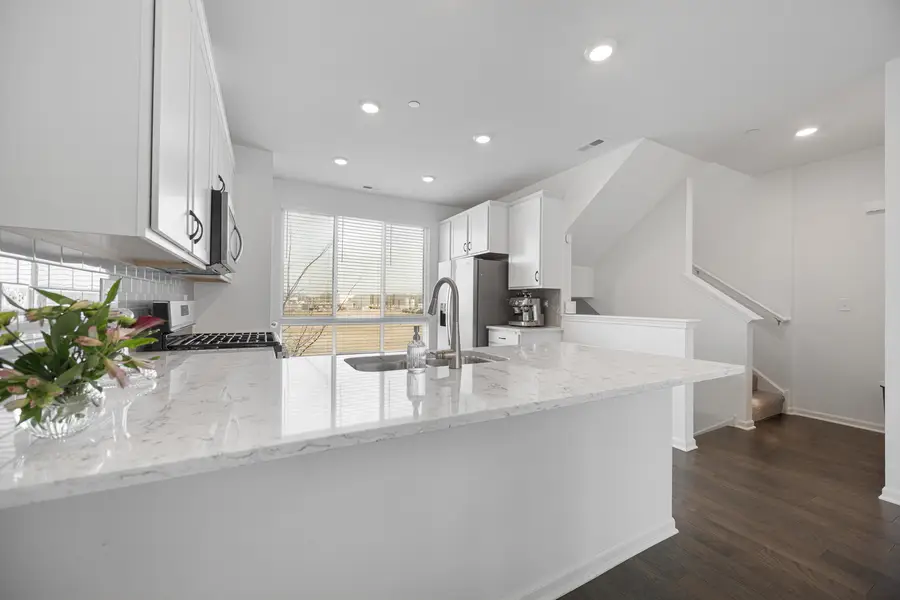 2317 Alumni Drive, Schaumburg, IL 60173 - #2