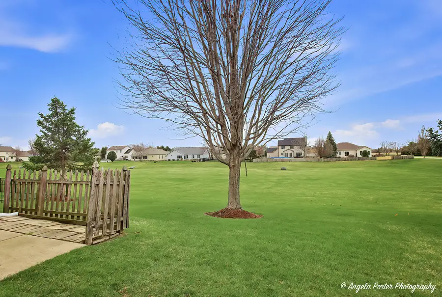 517 Sawgrass Lane, Hampshire, IL 60140 - #3