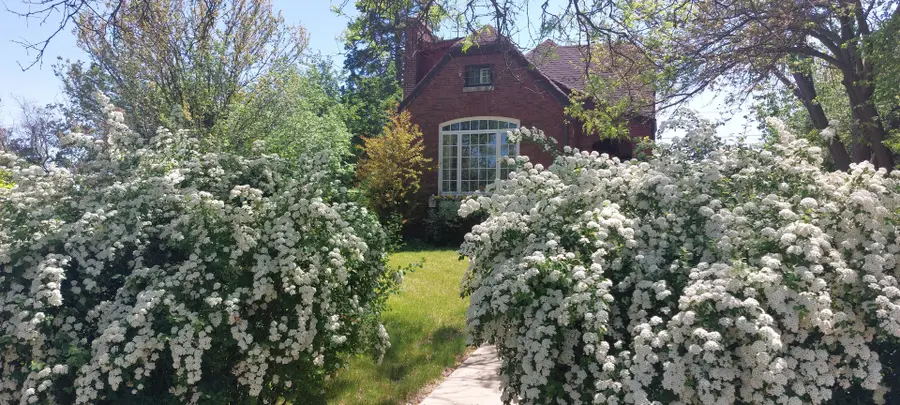 Address Withheld By Seller, Roselle, IL 60172 - #2