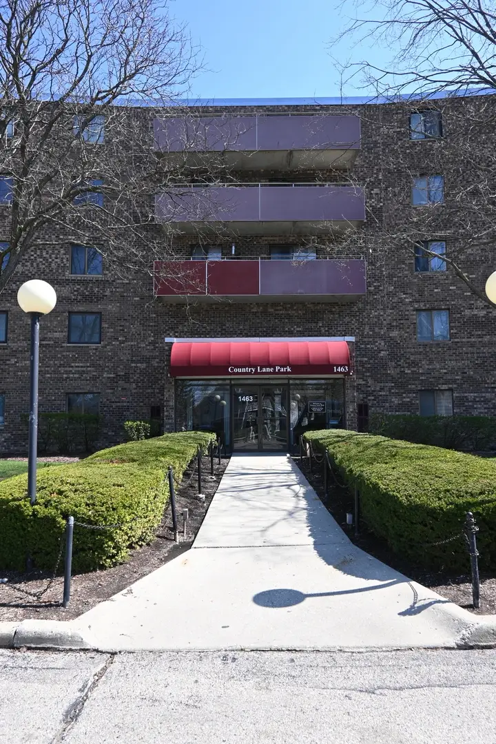 1463 Mercury Drive #217, Schaumburg, IL 60193 - #1