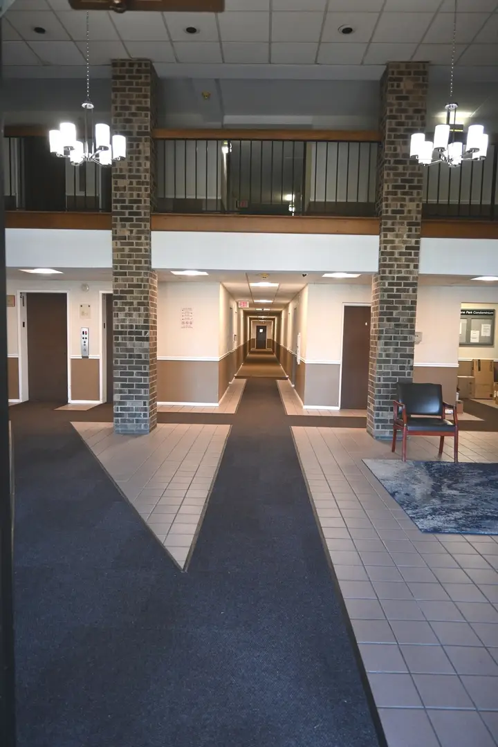 1463 Mercury Drive #217, Schaumburg, IL 60193 - #2