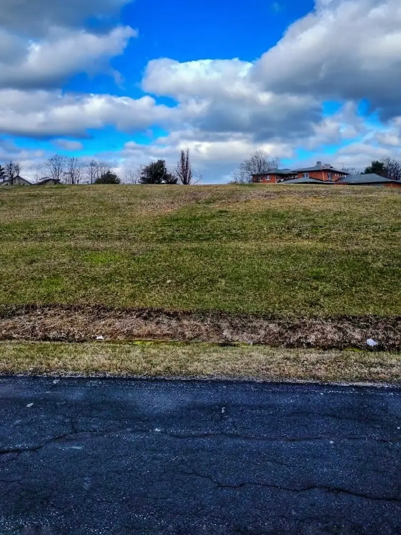Lot 80 Boyington Lane, Monee, IL 60449 - #2