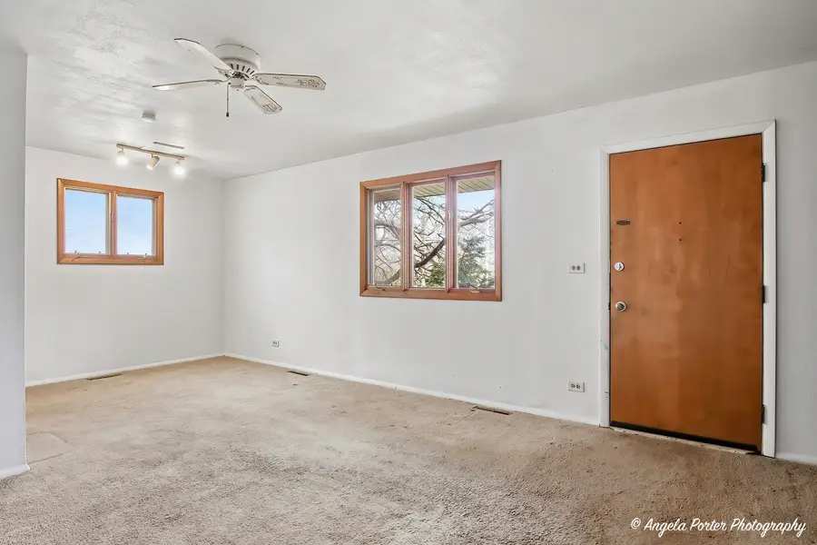 322 S Seymour Avenue, Mundelein, IL 60060 - #3