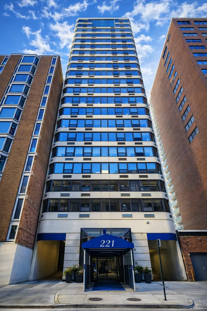 221 E Walton Place #17E, Chicago, IL 60611 - #1