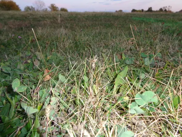 623 S State Street, Lockport, IL 60441