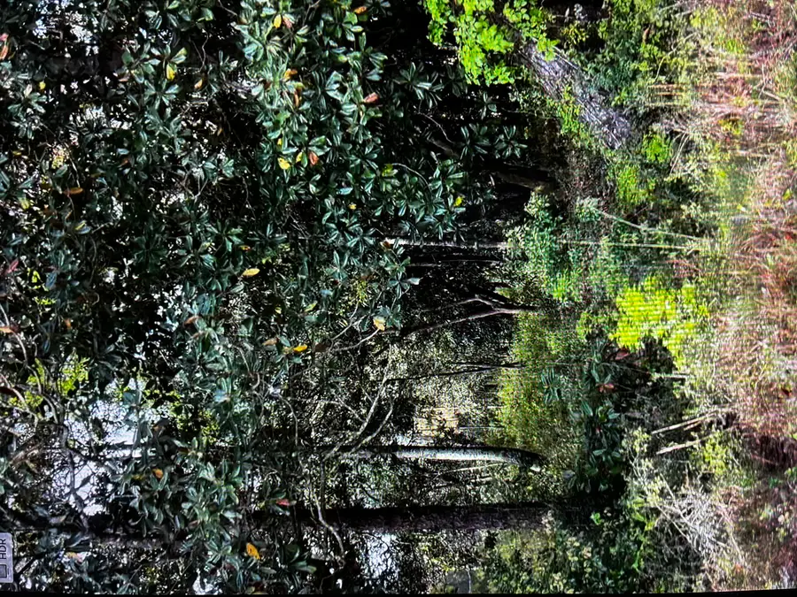 Lot 10 Baldwin Street, Perdido Beach, AL 36530 - #2