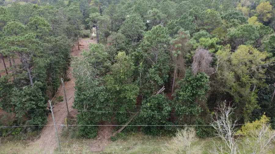 Lot 10 Baldwin Street, Perdido Beach, AL 36530 - #3