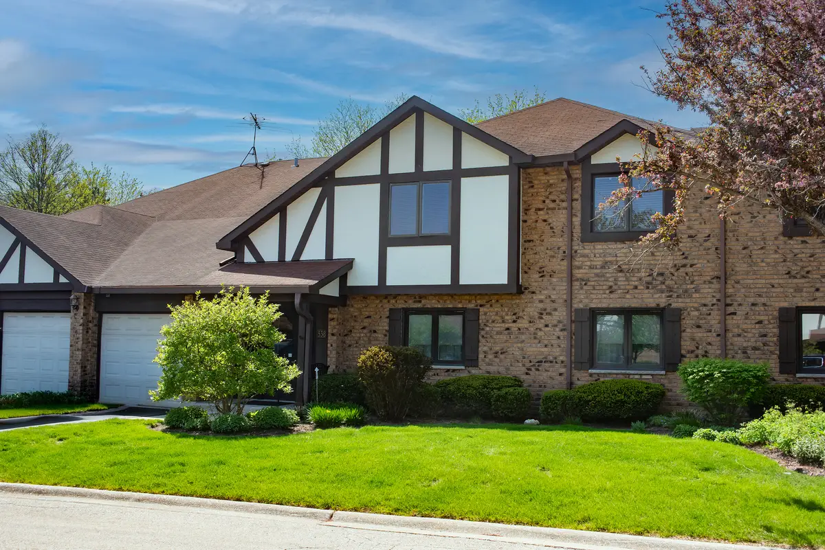 538 Banyon Lane #D, La Grange, IL 60525 - #1