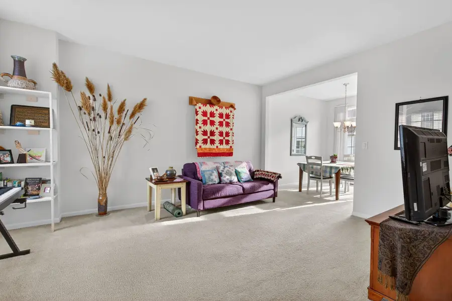 4329 Timber Ridge Court, Joliet, IL 60431 - #2