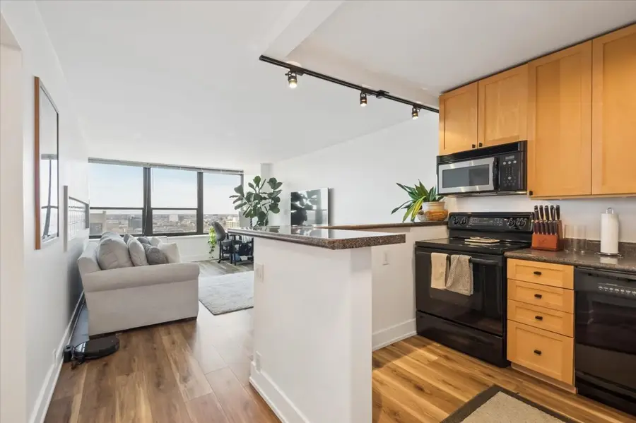 1560 N Sandburg Terrace #2207J, Chicago, IL 60610 - #3