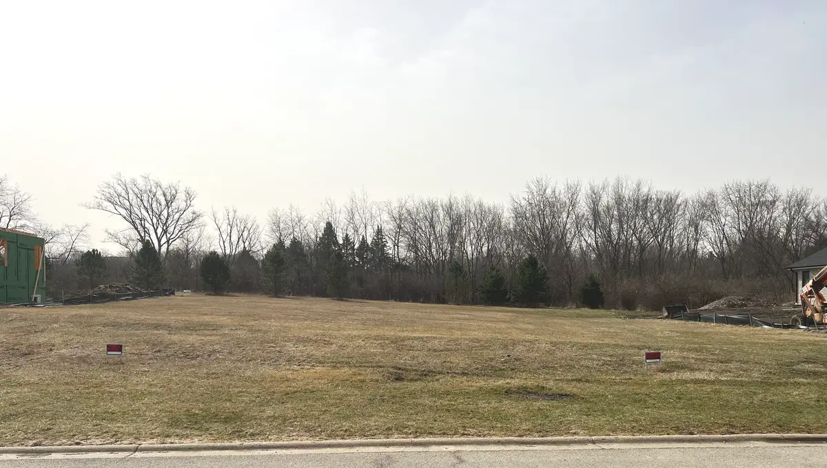 1244 Georgias Way, New Lenox, IL 60451 - #1