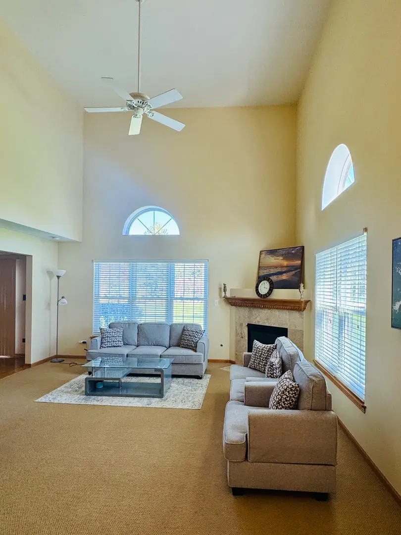 19245 Tramore Lane, Mokena, IL 60448 - #3