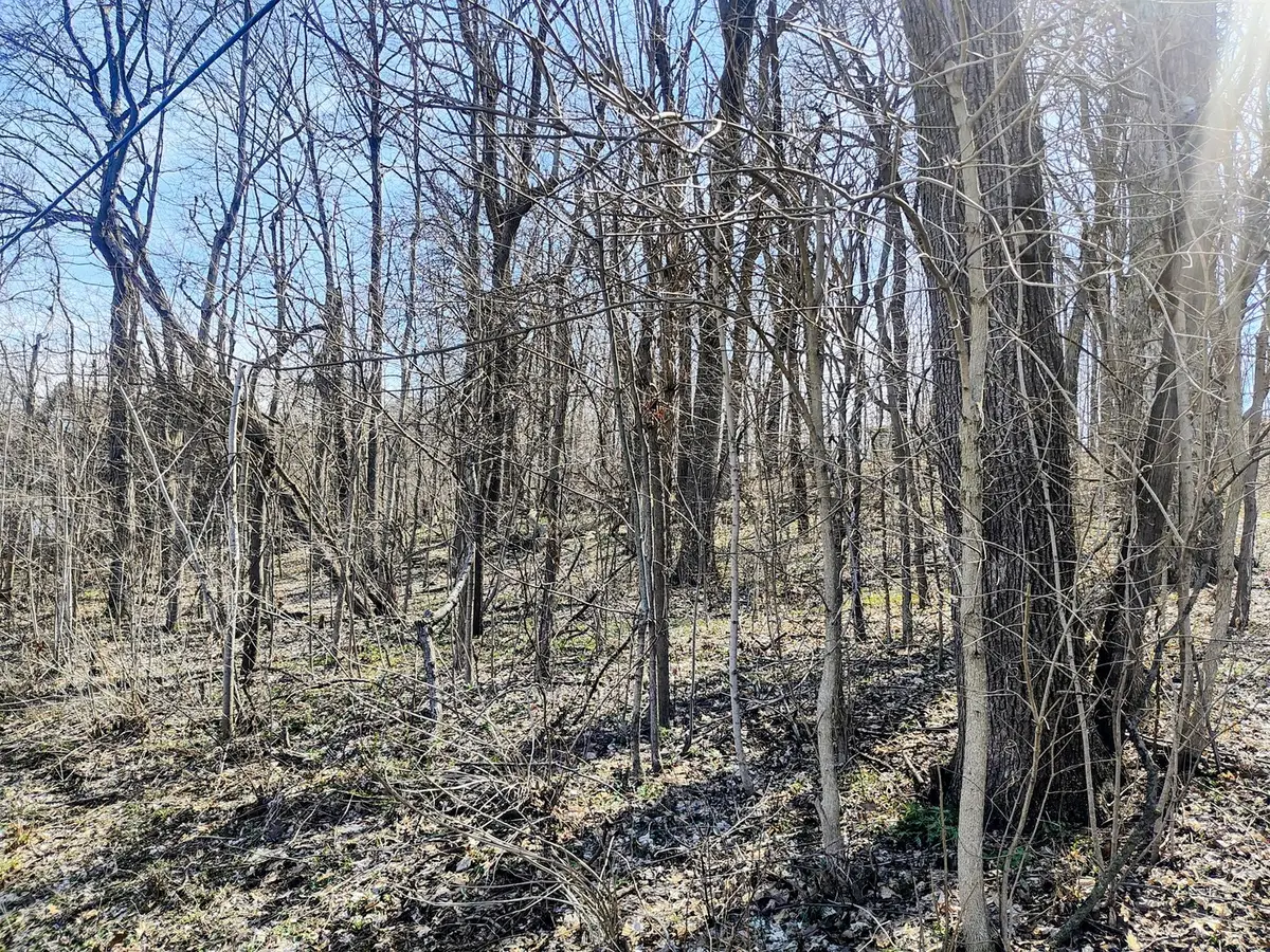 35W339-41 Riverside Drive, Saint Charles, IL 60174 - #1