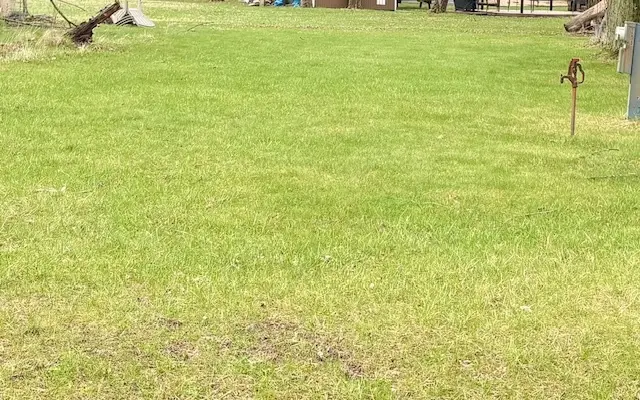 29/150 Woodhaven, Sublette, IL 61367 - #2