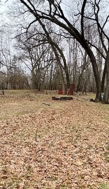 21/250 Woodhaven, Sublette, IL 61367 - #1