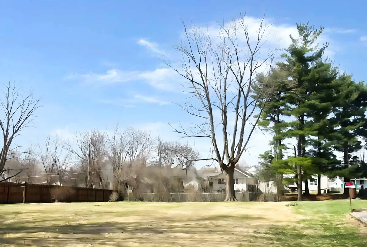 512 N Beard Street, Danville, IL 61832 - #1