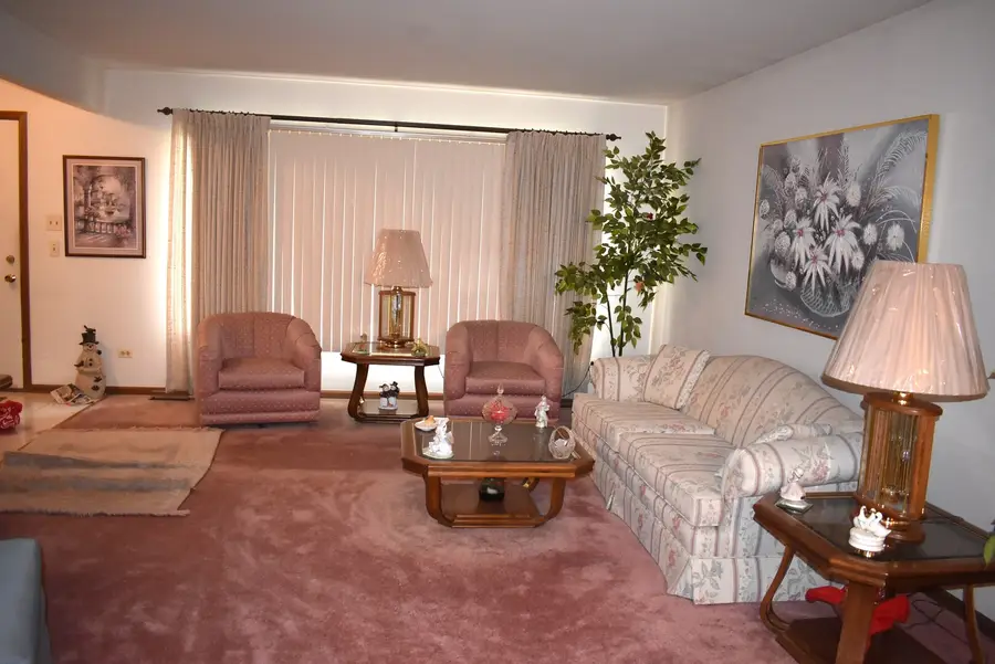 16619 Tudor Lane, Tinley Park, IL 60477 - #3