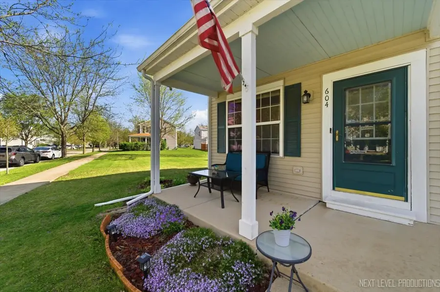 604 Roosevelt Drive, Oswego, IL 60543 - #3