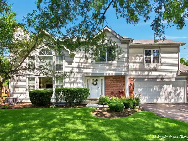 910 Sweetflower Drive, Hoffman Estates, IL 60169