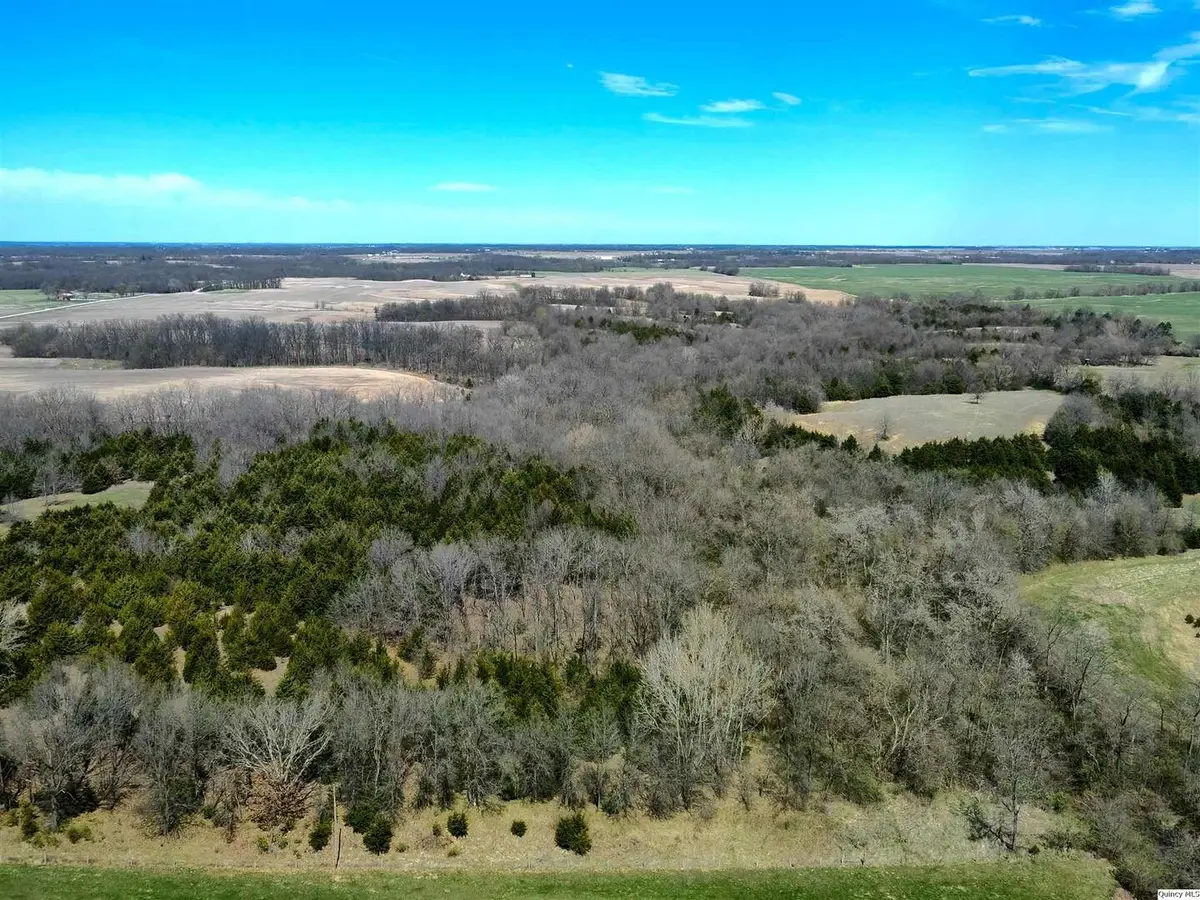 1637 N 2903rd Lane, Loraine, IL 62349 - #1