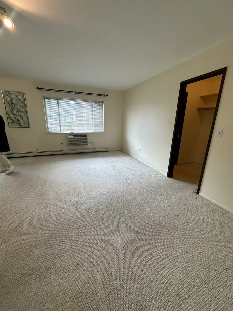 8649 1/2 W Foster Avenue #1B, Chicago, IL 60656 - #2