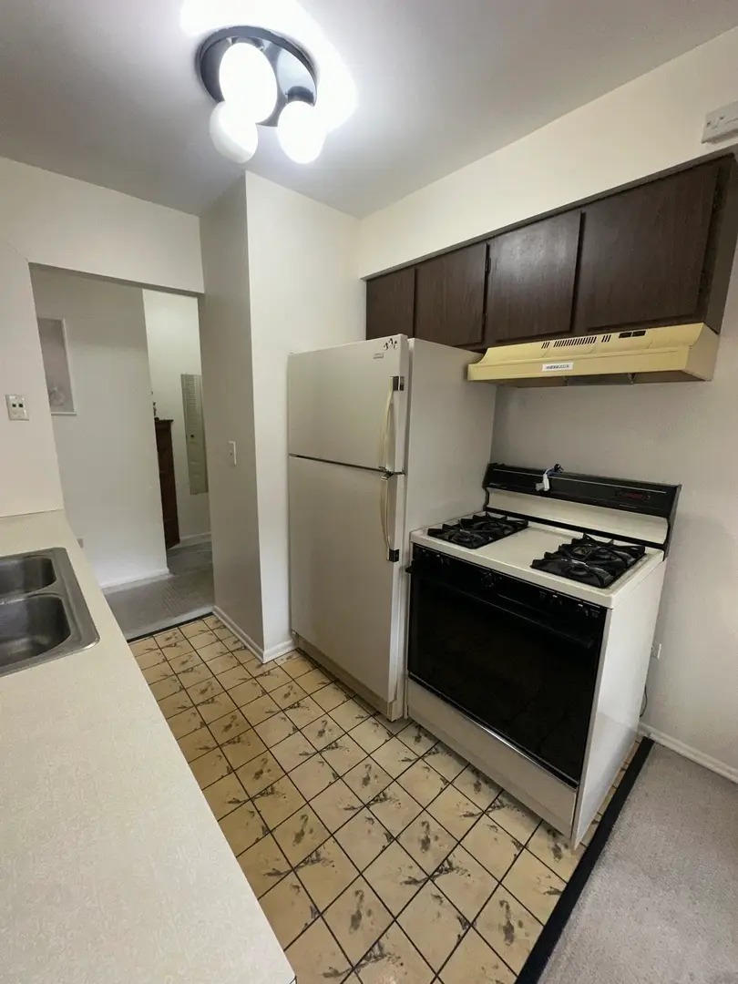 8649 1/2 W Foster Avenue #1B, Chicago, IL 60656 - #3