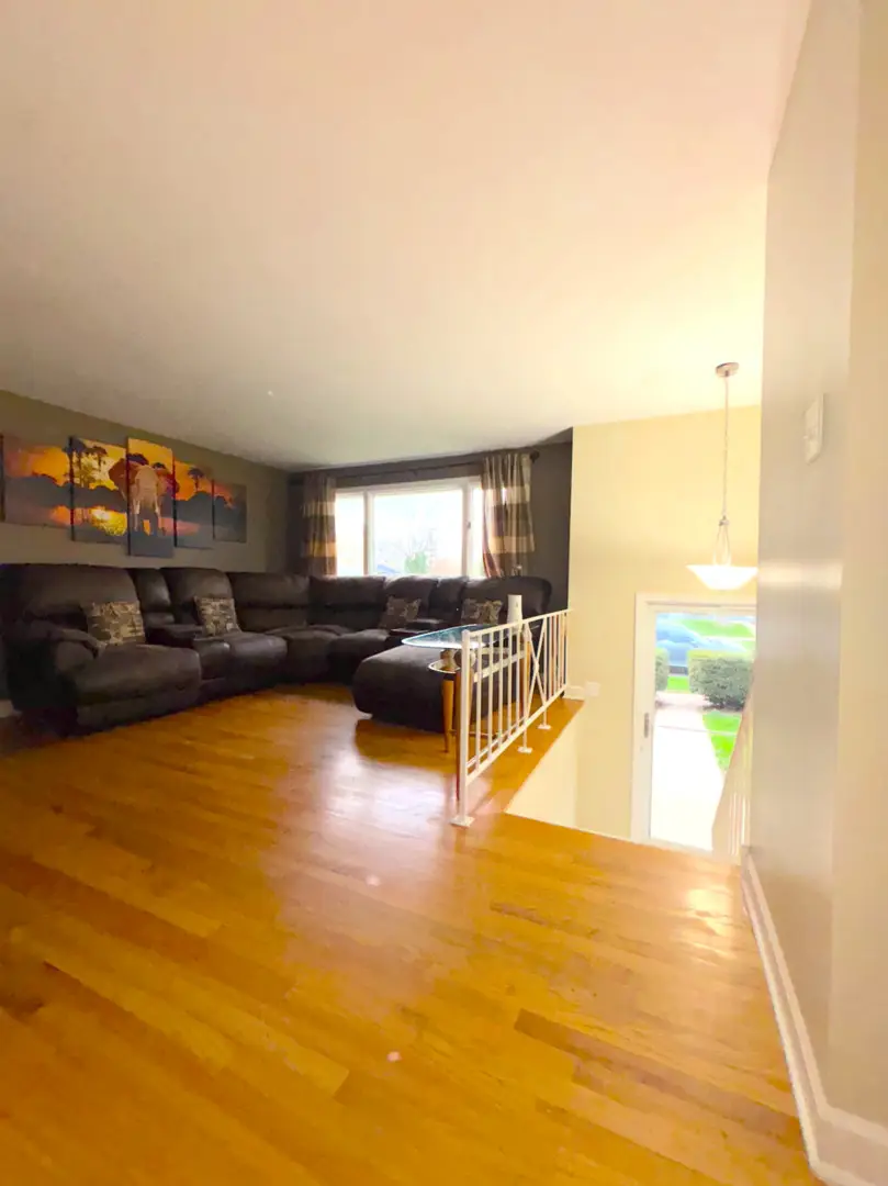 347 E Center Street, Glenwood, IL 60425 - #3