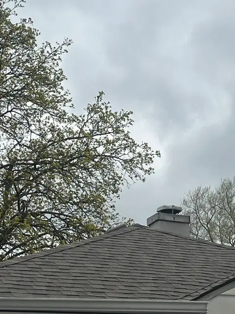 132 Geneva Avenue, Bellwood, IL 60104 - #2