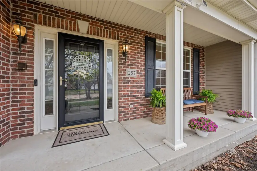 257 Hanburg Lane, Bolingbrook, IL 60440 - #3