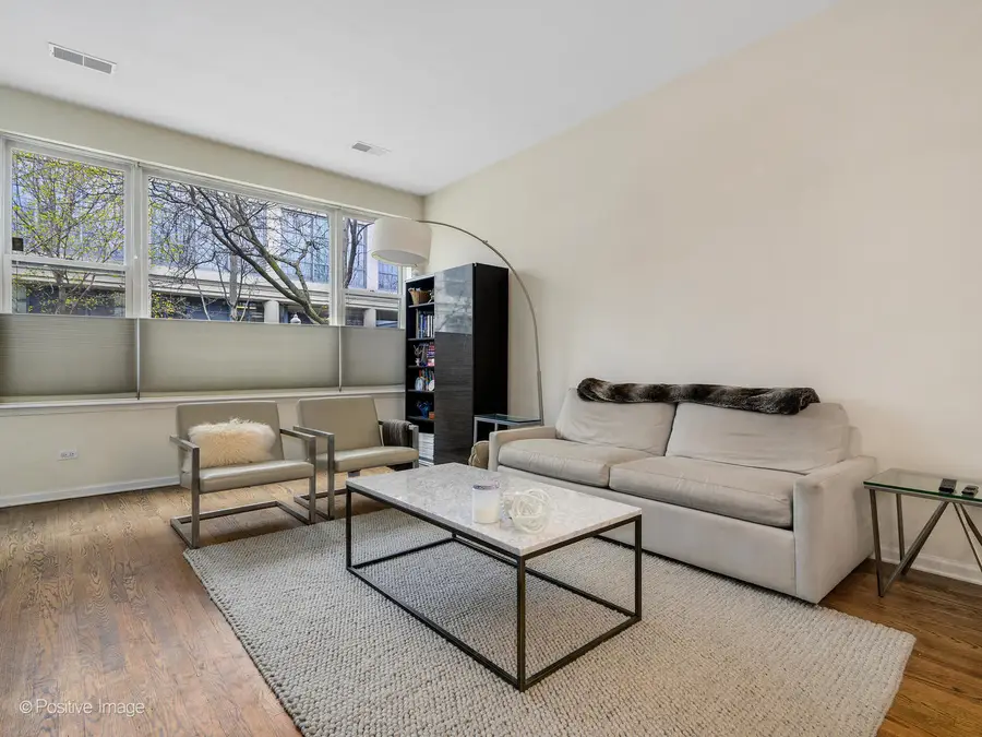 917 N Kingsbury Street, Chicago, IL 60610 - #2