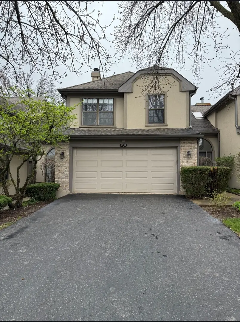 1203 Hobson Oaks Drive, Naperville, IL 60540 - #1