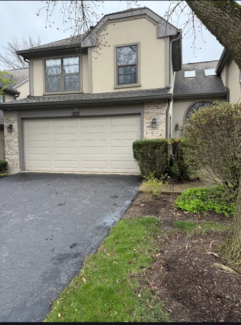 1203 Hobson Oaks Drive, Naperville, IL 60540 - #2