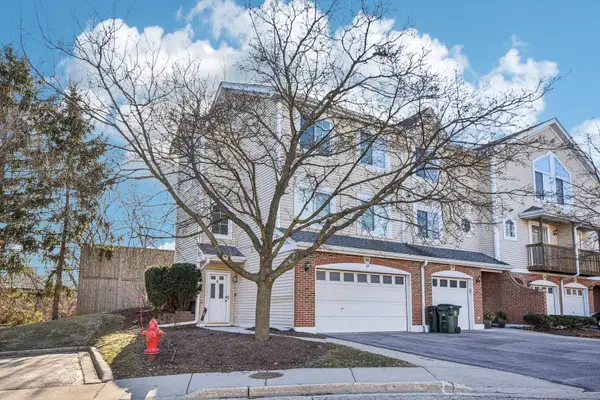 241 E Parallel Street #1A, Palatine, IL 60067