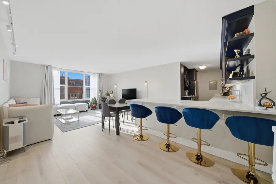 1325 N State Parkway #18D, Chicago, IL 60610 - #2