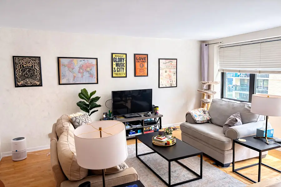 850 N Dewitt Place #15F, Chicago, IL 60611 - #3