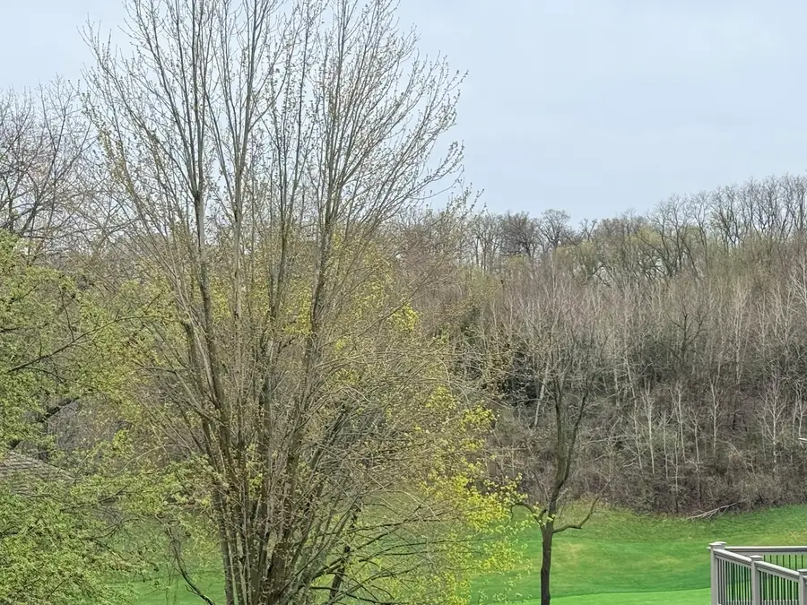 10 Linden Court, Galena, IL 61036 - #2