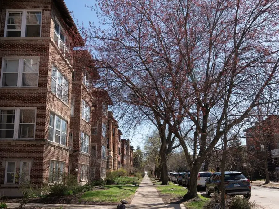 1260 W Columbia Avenue #2, Chicago, IL 60626 - #3