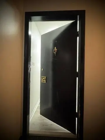 9720 S Pulaski Road #306, Oak Lawn, IL 60453 - #2