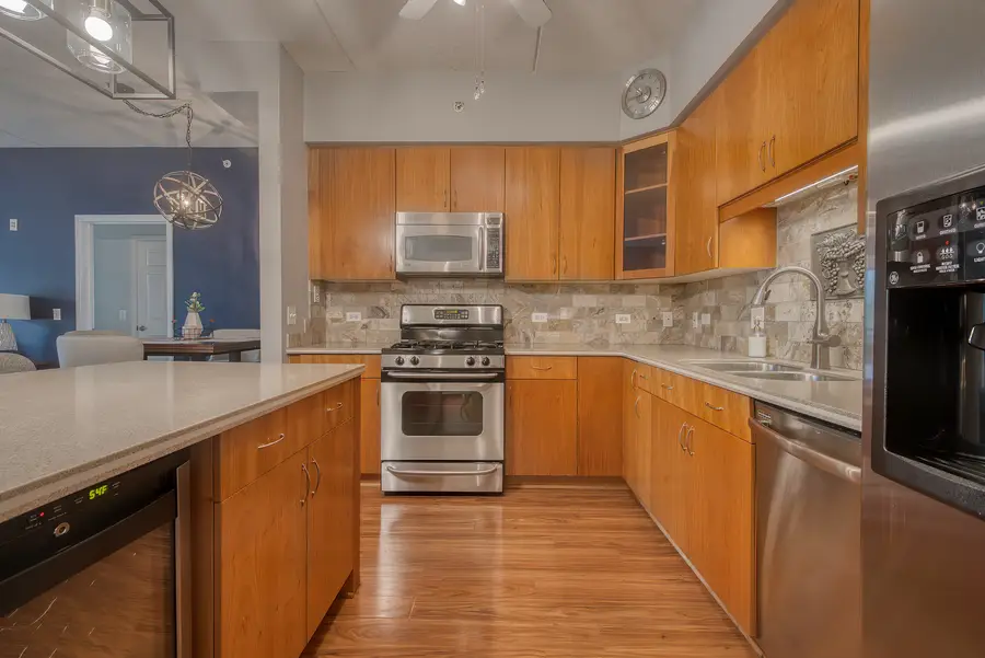 900 Lee Street #202, Des Plaines, IL 60016 - #2