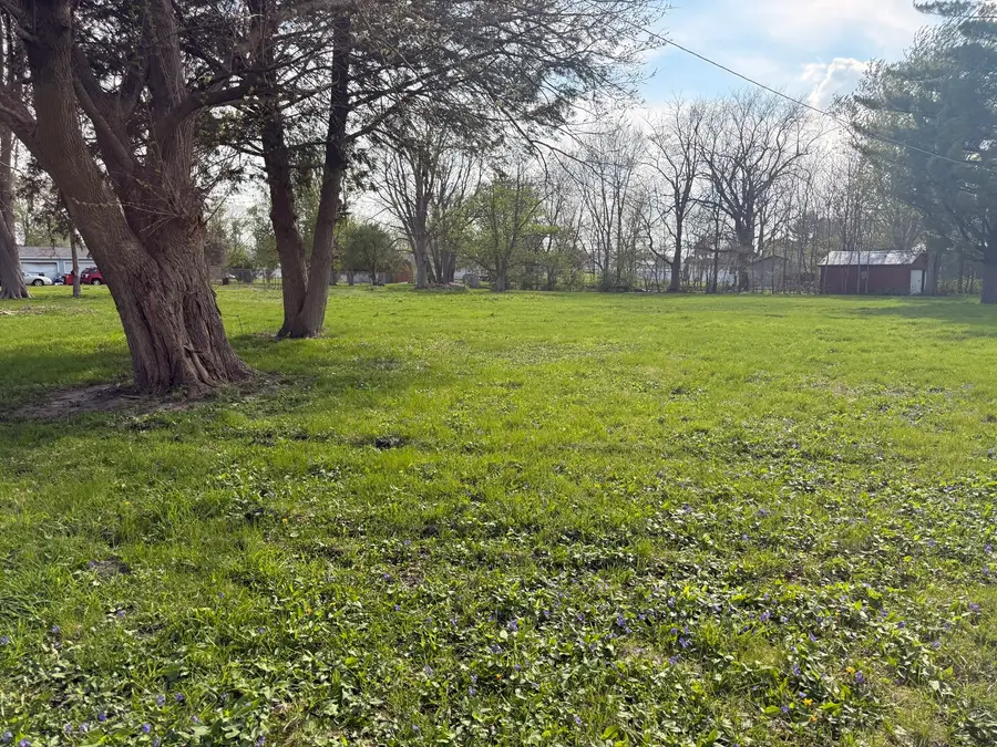 210 N Maple Street, Magnolia, IL 61336 - #3