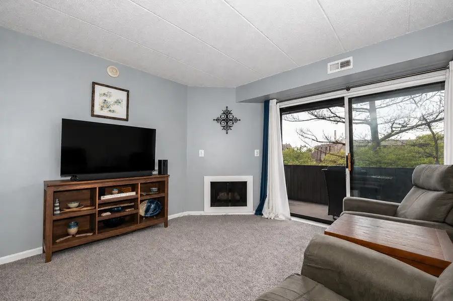 500 Timber Ridge Drive #202A, Carol Stream, IL 60188 - #3