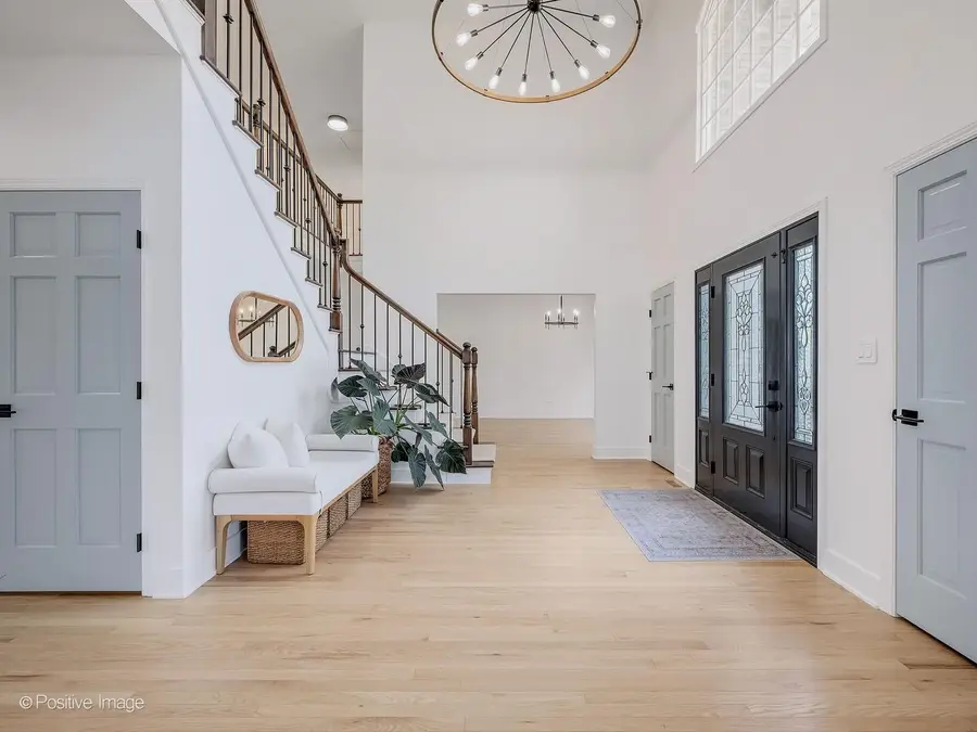 6437 Davane Court, Downers Grove, IL 60516 - #3