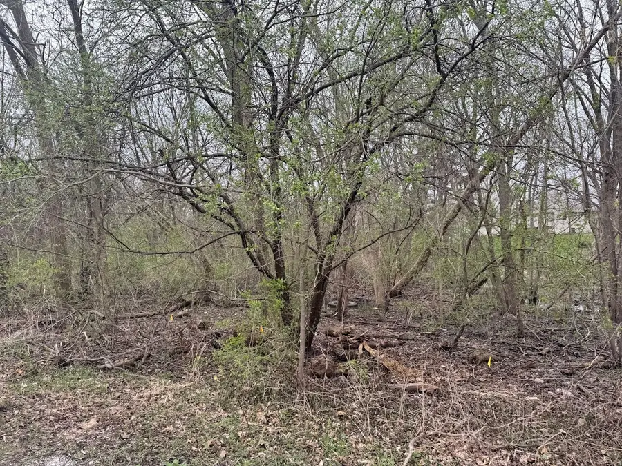 22828 Frederick Road, Steger, IL 60475 - #3