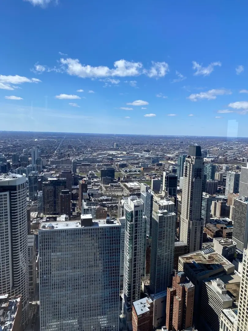 180 E Pearson Street #6001, Chicago, IL 60611 - #3