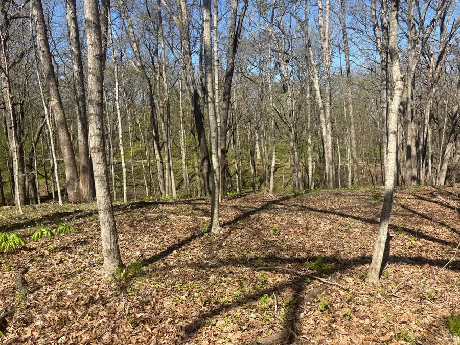 1618 Tanglewood Drive, Varna, IL 61375 - #2