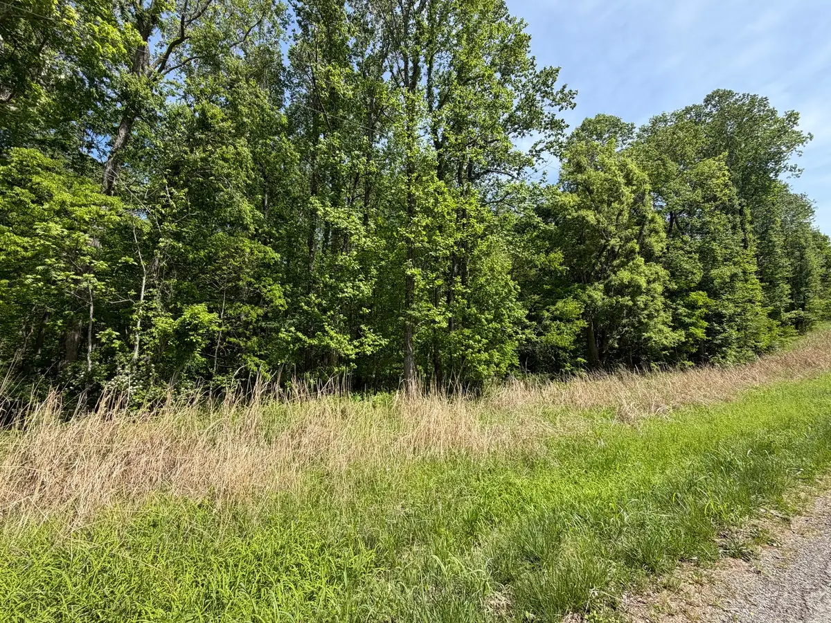 0000 Tower Rock Road, Elizabethtown, IL 62931 - #1