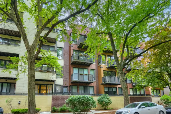 2251 W Wabansia Avenue #306, Chicago, IL 60647