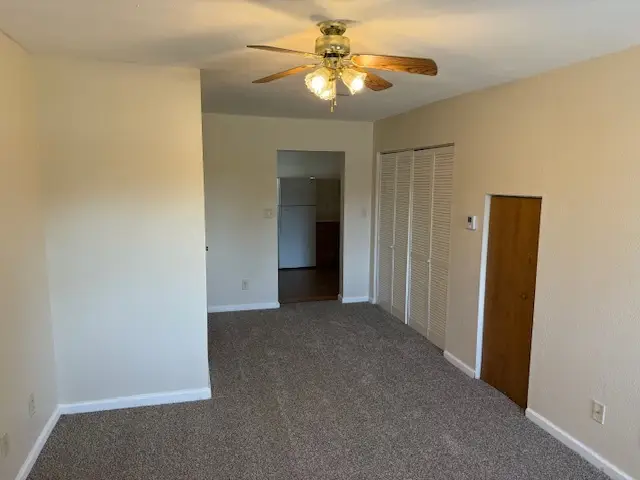 312 E Hester Street, Carbondale, IL 62901 - #2