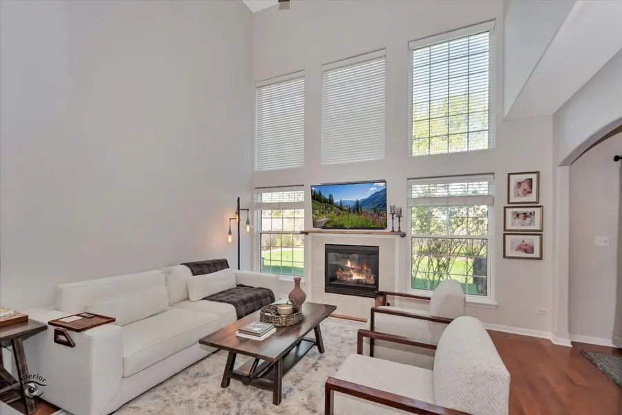 1162 Lily Field Lane #1162, Bolingbrook, IL 60440 - #3